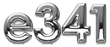 e341 logo